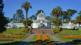 Conservatory of Flowers - Golden Gate Park